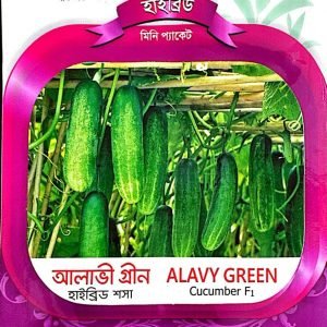 WhatsApp Image 2025-02-24 at 01.45.31_948489aa