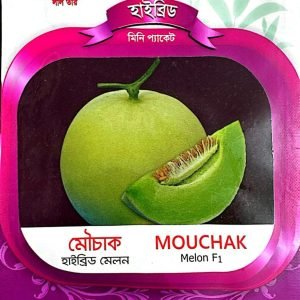 WhatsApp Image 2025-02-24 at 02.04.22_243b6295