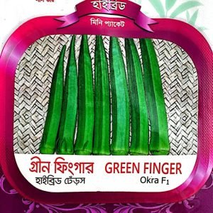 WhatsApp Image 2025-02-24 at 02.08.43_760d3ed7